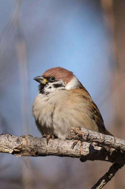 http://st-static1.kdffw.com/forums/2025/09/18/17581621554013.png