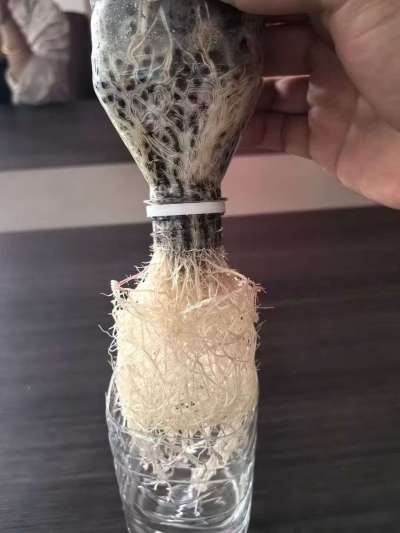 年销售量三十万吨的有机肥生产厂家，全国网点发货，资质齐全，正品保障！有机肥、生物菌肥、微生物肥料等