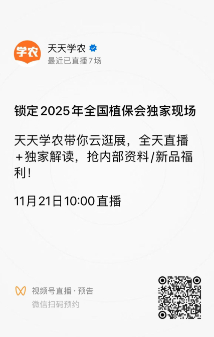 http://st-static1.kdffw.com/forums/2025/11/18/17634292668744.png