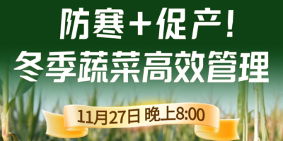 《细说农技》专家张宝林教冬季蔬菜防寒 + 促产高效管理，27 日晚 8 点！