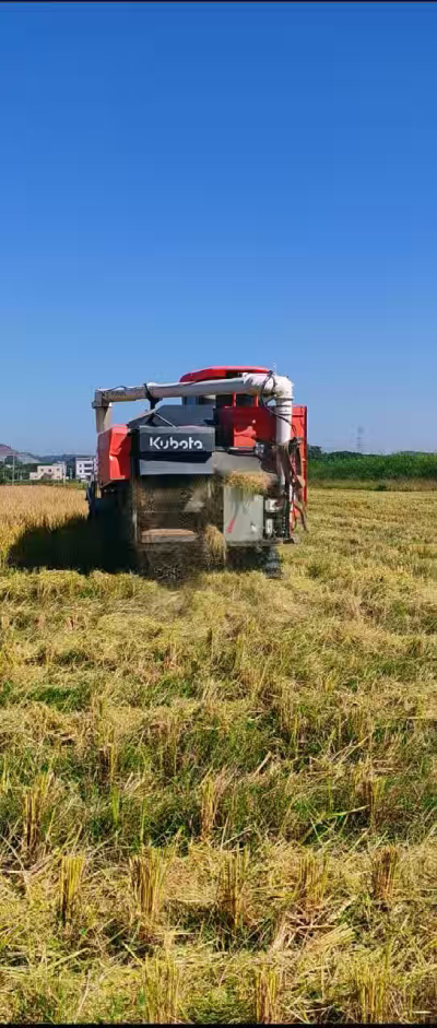 惠州基地，无人拖拉机收水稻了。