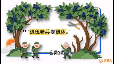 第7节：修剪决定产量（下）&mdash;&mdash;结果树的更新与疏果，课程：《蓝莓&ldquo;高产&rdquo;实战课：从选苗到丰收的10个关键点》