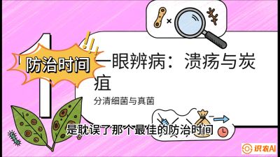 第三节：细菌与真菌&mdash;&mdash;溃疡病与炭疽病，课程：《柑橘十大病虫害：从入门到精通》