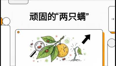 第二节：顽固&ldquo;两只满&rdquo;&mdash;&mdash;红蜘蛛与锈壁虱,课程：《柑橘十大病虫害：从入门到精通》