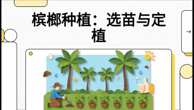 第01节：选苗与定植&mdash;&mdash;&ldquo;苗好一半收，底肥定千秋&rdquo;课程：《槟榔种植：从不懂到精通的10堂必修课》