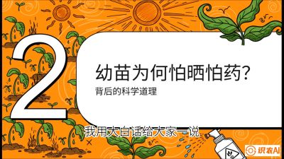 第02节：幼树管理&mdash;&mdash;&ldquo;防晒又防草，树势起得早&rdquo;，课程：《槟榔种植：从不懂到精通的10堂必修课》