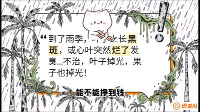 第05节：常见真菌病害&mdash;&mdash;&ldquo;炭疽与烂心，早防值千金&rdquo;《槟榔种植：从不懂到精通的10堂必修课》