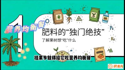 第07节：科学施肥&mdash;&mdash;&ldquo;氮磷钾配好，树壮果不倒