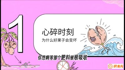 第08节：微量元素与保果&mdash;&mdash;&ldquo;补硼又补钙，果子不裂坏&rdquo;《槟榔种植：从不懂到精通的10堂必修课》