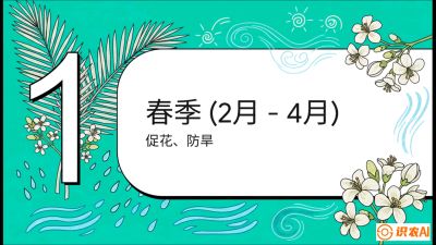 第10节：周年农事日历&mdash;&mdash;&ldquo;跟着节气走，丰产在手头&rdquo;《槟榔种植：从不懂到精通的10堂必修课》