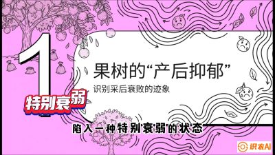 第2节：【冬肥策略】采后&ldquo;月子肥&rdquo;：大小年的精准干预术，课程：《柑橘底肥&ldquo;翻身账&rdquo;：从改土到高产的实战全书》
