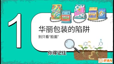 第4节：【黄金配方】底肥里的&ldquo;铁三角&rdquo;与&ldquo;微量雷区&rdquo;课程：《柑橘底肥&ldquo;翻身账&rdquo;：从改土到高产的实战全书》