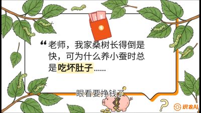 第01节：不仅仅是树&mdash;&mdash;顶级品种选配策略，课程：《桑海淘金：桑树高产与蚕桑安全进阶实战课》