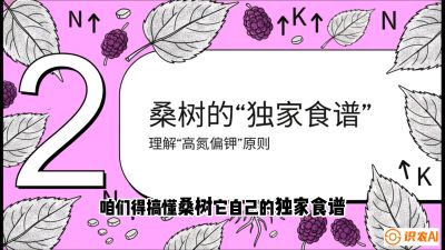 第04节：地下核动力&mdash;&mdash;桑树专用水肥一体化配方，课程：《桑海淘金：桑树高产与蚕桑安全进阶实战课》