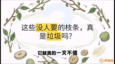 第12节：变废为宝&mdash;&mdash;循环农业实操，课程：《桑海淘金：桑树高产与蚕桑安全进阶实战课》