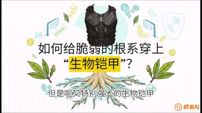 第三节：国产榴莲突围战：根系堡垒，菌根微生态构建与黄金定植窗口，课程：《国产榴莲突围战：从泰国经验到中国实操的8堂必修课（高阶实战版）》