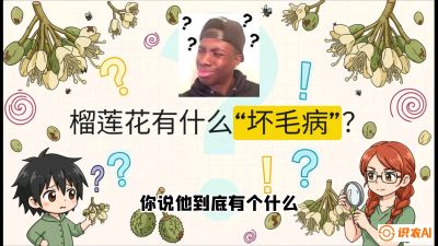 第六节：榴莲的午夜战事，夜间授粉战与花果期避雨策略，课程：《国产榴莲突围战：从泰国经验到中国实操的8堂必修课（高阶实战版）》