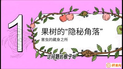 第3节：无人机专治&ldquo;打不透&rdquo;&mdash;&mdash;果树与高杆作物的穿透技巧，课程：《无人机植保搞钱必修课：从&ldquo;瞎飞&rdquo;到&ldquo;懂行&rdquo;的6步进阶》