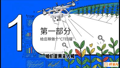 第5节：无人机也能&ldquo;看病抓药&rdquo;&mdash;&mdash;处方图与变量施肥入门，课程：《无人机植保搞钱必修课：从&ldquo;瞎飞&rdquo;到&ldquo;懂行&rdquo;的6步进阶》
