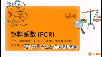 第五节：【高端单品&middot;鳜鱼】&ldquo;饲料鳜&rdquo;技术：打破吃活饵的高成本魔咒，课程：《黄金鳞甲：2025中国淡水鱼高效养殖实战营》