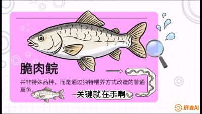 第六节：【老品升级&middot;脆肉鲩】如何让草鱼身价翻倍？，课程：《黄金鳞甲：2025中国淡水鱼高效养殖实战营》