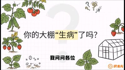 第2节（解毒篇）： 大棚里的&ldquo;红白绿&rdquo;警报&mdash;&mdash;读懂土壤盐渍化的求救信号，课程：《揭秘土壤的秘密：让土地帮你赚钱》#识农AI