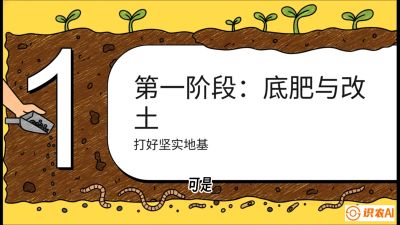 第6节（统筹篇）： 省钱又增产的&ldquo;黄金配比&rdquo;&mdash;&mdash;不同作物全年的养土实操方案，课程：《揭秘土壤的秘密：让土地帮你赚钱》#识农AI