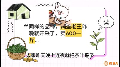 第01节（抢早篇）：与老天爷抢饭吃：如何利用&ldquo;温差阈值&rdquo;让头采茶提前5天上市？，课程：《茶金时代：从&ldquo;看天吃饭&rdquo;到&ldquo;精准控局&rdquo;的茶叶高产提质实战课》