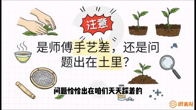 第02节（土肥篇）：告别&ldquo;苦涩水味&rdquo;：揭秘&ldquo;碳氮比&rdquo;调控术，种出自带兰花香的好茶底，课程：《茶金时代：从&ldquo;看天吃饭&rdquo;到&ldquo;精准控局&rdquo;的茶叶高产提质实战课》