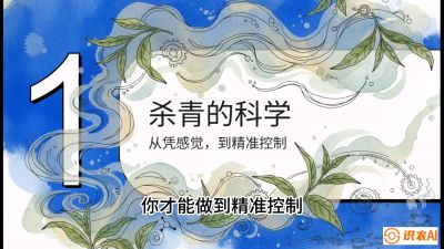 第05节（加工篇）：决胜2分钟：用&ldquo;数字温控&rdquo;破解杀青不匀，复刻大师级手工口感，课程：《茶金时代：从&ldquo;看天吃饭&rdquo;到&ldquo;精准控局&rdquo;的茶叶高产提质实战课》