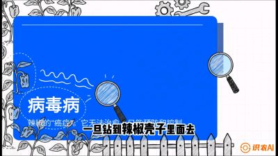 第5节：【病毒病阻击】辣椒的&ldquo;癌症&rdquo;怎么治？从&ldquo;绝收恐慌&rdquo;到&ldquo;带毒生产&rdquo;的逆转术，课程：《辣椒种植实战特训营，从工业辣椒到精品小米辣，教你如何把&ldquo;草&rdquo;种成&ldquo;金&rdquo;》