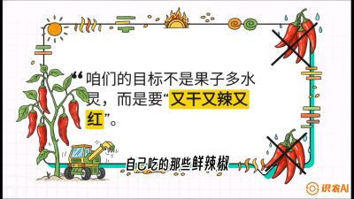 第7节：【工业辣椒专场】追求极致辣度！干物质提升与机械化采收的&ldquo;催红秘籍&rdquo;，课程：《辣椒种植实战特训营，从工业辣椒到精品小米辣，教你如何把&ldquo;草&rdquo;种成&ldquo;金&rdquo;》