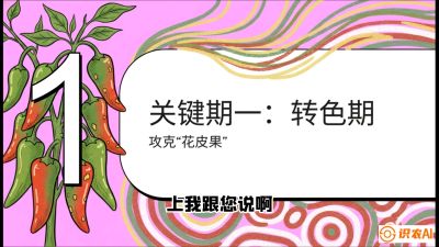 第8节：【小米辣线椒专场】颜值即正义！防花皮、防炭疽，打造收购商抢着要的&ldquo;精品果&rdquo;，课程：《辣椒种植实战特训营，从工业辣椒到精品小米辣，教你如何把&ldquo;草&rdquo;种成&ldquo;金&rdquo;》