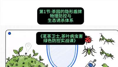 第01节：茶园的&ldquo;隐形盾牌&rdquo;&mdash;&mdash;物理防控与生态诱杀体系，课程：《茗茶卫士&mdash;&mdash;茶叶病虫害绿色防控实战课》#识农AI