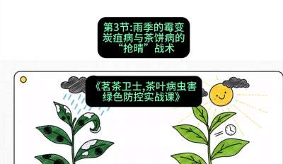 第03节：雨季的霉变&mdash;&mdash;炭疽病与茶饼病的&ldquo;抢晴&rdquo;战术，课程：《茗茶卫士&mdash;&mdash;茶叶病虫害绿色防控实战课》#识农AI