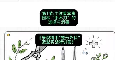 第01节：工欲善其事&mdash;&mdash;园林&ldquo;手术刀&rdquo;的选择与消毒，课程：《景观树木&ldquo;整形外科&rdquo;造型实战特训营》#识农AI