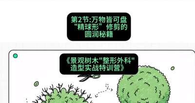 第02节：万物皆可盘&mdash;&mdash;&ldquo;精球形&rdquo;修剪的圆润秘籍，课程：《景观树木&ldquo;整形外科&rdquo;造型实战特训营》#识农AI