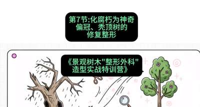 第07节：化腐朽为神奇&mdash;&mdash;偏冠、秃顶树的修复整形，课程：《景观树木&ldquo;整形外科&rdquo;造型实战特训营》#识农AI