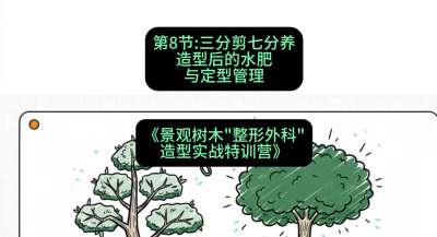 第08节：三分剪七分养&mdash;&mdash;造型后的水肥与定型管理，课程：《景观树木&ldquo;整形外科&rdquo;造型实战特训营》#识农AI