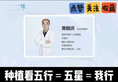 中药材淫羊藿怎么种？听专家一次讲明白！不挑地块好管理，耐寒耐旱省心省力，新手也能轻松上手，药用价值高、市场需求稳，妥妥的增收好品种～ 从生长习性到采收要点，干货满满无废话，种植疑问直接问，一对一答疑解