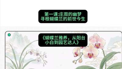 第一节：庄周的幽梦：寻根蝴蝶兰的前世今生，课程：《蝴蝶兰雅养六讲：从阳台小白到园艺达人》#识农AI