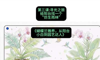 第三节：寻光之旅：给阳台找一个&ldquo;仿生雨林&rdquo;，课程：《蝴蝶兰雅养六讲：从阳台小白到园艺达人》#识农AI
