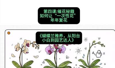 第四节：催花秘籍：如何让&ldquo;一次性花&rdquo;年年复花，课程：《蝴蝶兰雅养六讲：从阳台小白到园艺达人》#识农AI