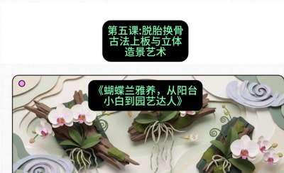 第五节：脱胎换骨：古法上板与立体造景艺术，课程：《蝴蝶兰雅养六讲：从阳台小白到园艺达人》#识农AI