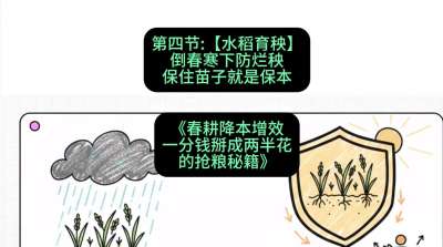 第四节：【水稻育秧】倒春寒下防烂秧，保住苗子就是保本