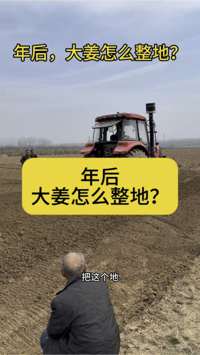 年后，大姜怎么整地？