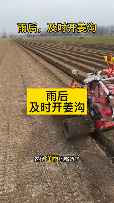 雨后，及时开姜沟！