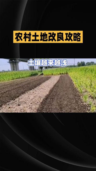 1. 先搞懂：你到底要改良哪块地、种什么
 
- 土土土在哪里？
就是你自家农田、菜地、果园，哪块地想种庄稼，就测哪块地的土。
​
- 有水没有水？
有水能浇：改良更省事，施肥、调酸碱都好操作。
没水