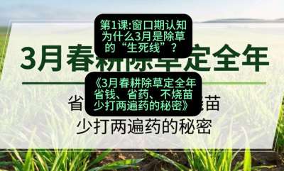 第1节：窗口期认知，为什么3月是除草的&ldquo;生死线&rdquo;？，课程：《3月春耕除草定全年：省钱、省药、不烧苗、少打两遍药的秘密》
