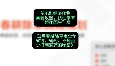 第4节：经济作物果园攻坚，抗性杂草&ldquo;起死回生&rdquo;局，课程：《3月春耕除草定全年：省钱、省药、不烧苗、少打两遍药的秘密》